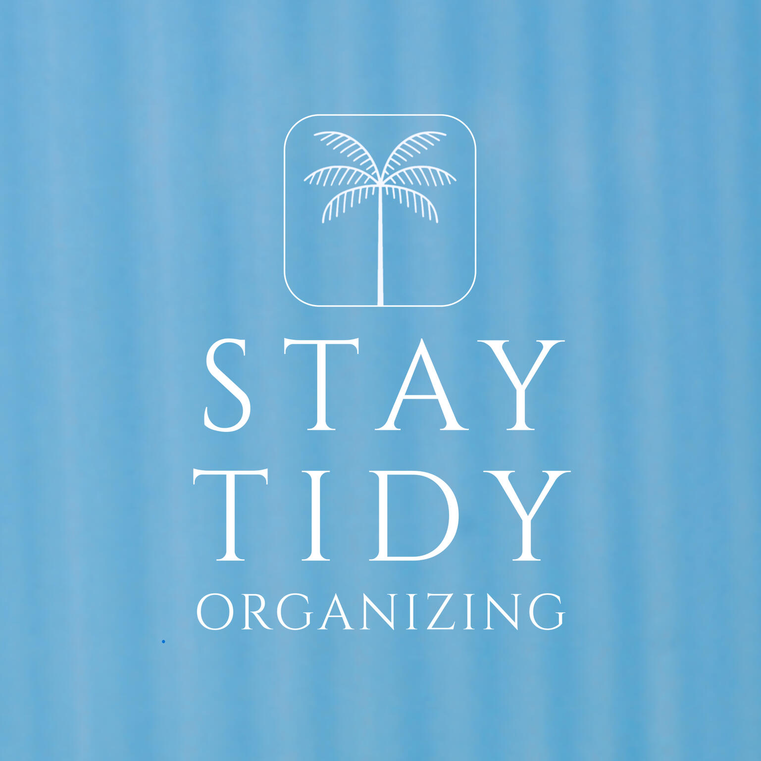 Home organization in Charleston, South Carolina. Home organizing in mount pleasant, South Carolina. How to organize my home and stay tidy and clean in day to day life.