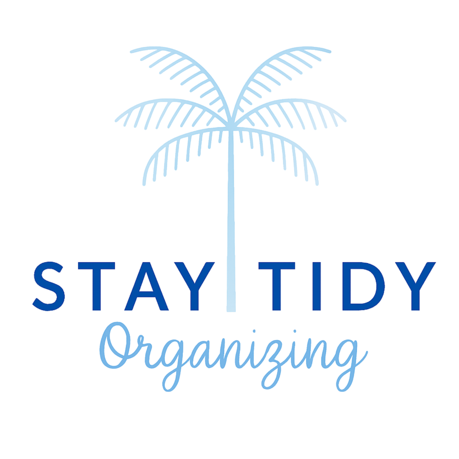 Home organizing in mount pleasant, South Carolina. How to organize my home and stay tidy and clean in day to day life.